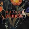 Maison Prunelle logo