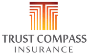Trust International Insurance logo