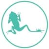 The Little Frog logo