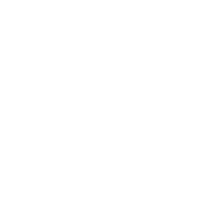 Ziad Nassar Events logo