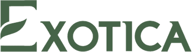 Exotica logo