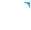 IIS E-Solutions logo